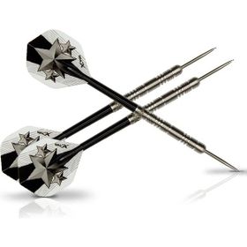 XQ Max World Champion 21 gr Dart Oku Seti