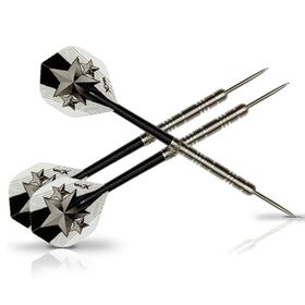 XQ Max World Champion 21 gr Dart Oku Seti