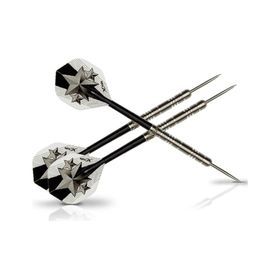 XQ Max World Champion 21 gr Dart Oku Seti