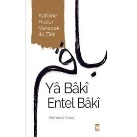 Ya Baki Entel Baki - Mehmet Kökdemir - Sokak Kitapları Yayınları