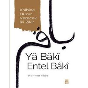Ya Baki Entel Baki - Mehmet Kökdemir - Sokak Kitapları Yayınları