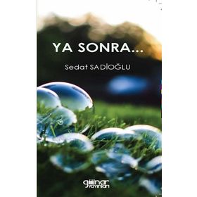 Ya Sonra - Sedat Sadioğlu