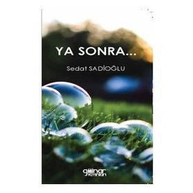 Ya Sonra Seval Arslan