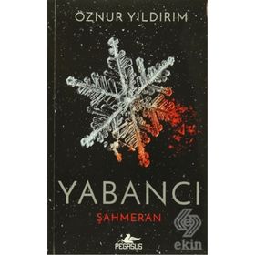 Yabancı - Camilla Lackberg
