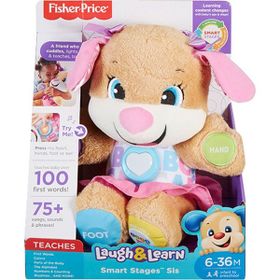 Yabidur Fisher Price Köpekçiğin Kız Kardeşi
