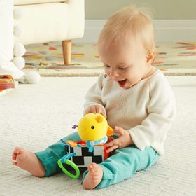 Yabidur Fisher Price Sevimli Kuş