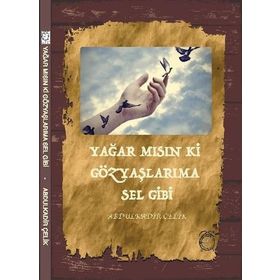 Yağar mısın ki Gözyaşlarıma Sel Gibi - Abdulkadir Çelik