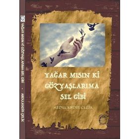 Yağar mısın ki Gözyaşlarıma Sel Gibi - Abdulkadir Çelik