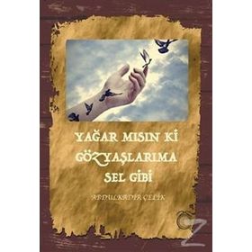 Yağar mısın ki Gözyaşlarıma Sel Gibi - Abdulkadir Çelik