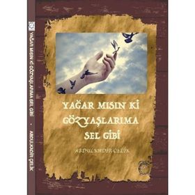 Yağar mısın ki Gözyaşlarıma Sel Gibi - Abdulkadir Çelik