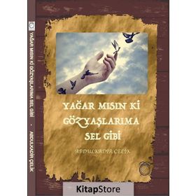 Yağar mısın ki Gözyaşlarıma Sel Gibi - Abdulkadir Çelik