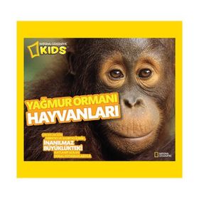 YAĞMUR ORMANI HAYVANLARI - KOMISYON