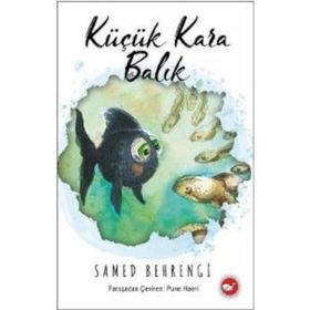 Yağmurlu Bir Gün - Feridun Oral