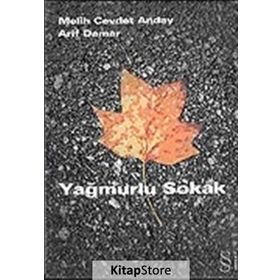 YAĞMURLU SOKAK - MELIH CEVDET ANDAY; ARIF DAMAR