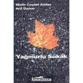 YAĞMURLU SOKAK - MELIH CEVDET ANDAY; ARIF DAMAR