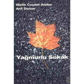 YAĞMURLU SOKAK - MELIH CEVDET ANDAY; ARIF DAMAR
