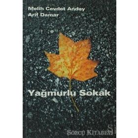 YAĞMURLU SOKAK - MELIH CEVDET ANDAY; ARIF DAMAR