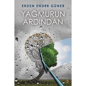 Yağmurun Ardından - Erden Ender Güner