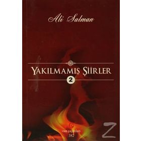 YAKILMAMIŞ ŞIIRLER 2 - ALI SALMAN