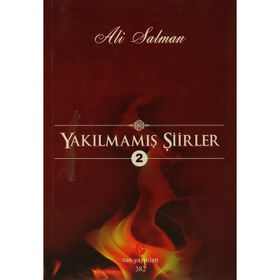 YAKILMAMIŞ ŞIIRLER 2 - ALI SALMAN
