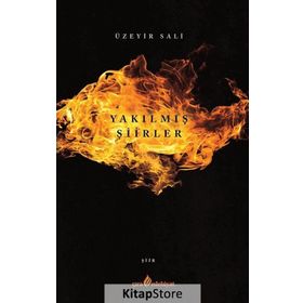 Yakılmış Şiirler - Üzeyir Sali