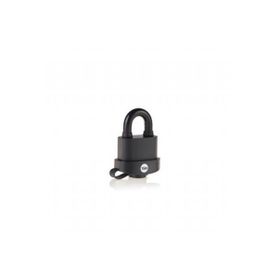 Yale Y220B-61-123-1 51mm Asma Kilit