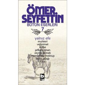 YALNIZ EFE - ÖMER SEYFETTIN (ISBN:9789754941814)