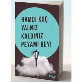 Yalnız Kaldınız, Peyami Bey! - Hamdi Koç