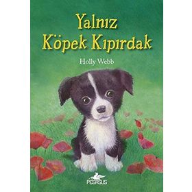 Yalnız Köpek Kıpırdak - Holly Webb
