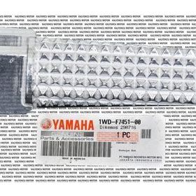 Yamaha MT25 Ön Sol Basamak