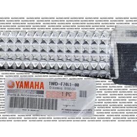 Yamaha MT25 Orjinal Ön Sağ Basamak