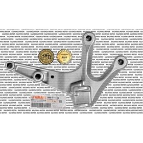 Yamaha MT25 Sağ Sürücü Basamak Braketi
