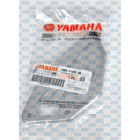 Yamaha YZF R25 Ön Basamak Sol Plate