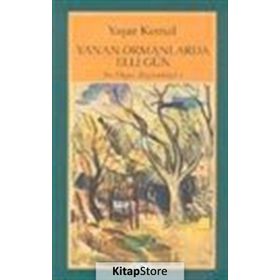 YANAN ORMANLARINDA ELLI GÜN BU DIYAR BAŞTANBAŞA 2 - YAŞAR KEMAL