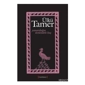 YANARDAĞIN ÜSTÜNDEKI KUŞ - ÜLKÜ TAMER
