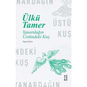 YANARDAĞIN ÜSTÜNDEKI KUŞ - ÜLKÜ TAMER