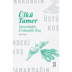 YANARDAĞIN ÜSTÜNDEKI KUŞ - ÜLKÜ TAMER