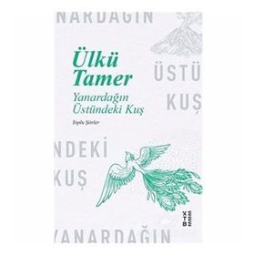 YANARDAĞIN ÜSTÜNDEKI KUŞ - ÜLKÜ TAMER
