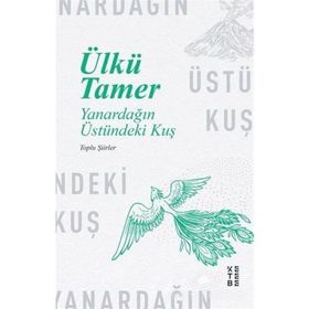 YANARDAĞIN ÜSTÜNDEKI KUŞ - ÜLKÜ TAMER