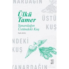 YANARDAĞIN ÜSTÜNDEKI KUŞ - ÜLKÜ TAMER
