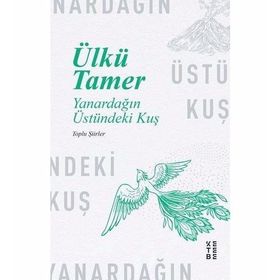 YANARDAĞIN ÜSTÜNDEKI KUŞ - ÜLKÜ TAMER