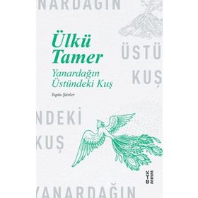 YANARDAĞIN ÜSTÜNDEKI KUŞ - ÜLKÜ TAMER