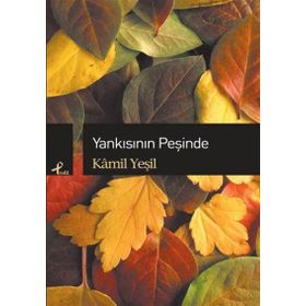 Yankısının Peşinde - Kamil Yeşil