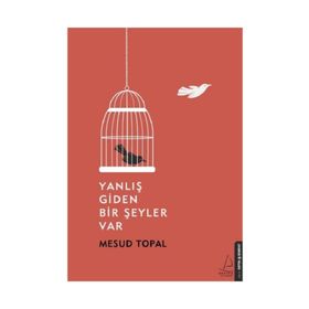 Yanlış Giden Bir Şeyler Var - Mesud Topal