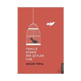 Yanlış Giden Bir Şeyler Var - Mesud Topal