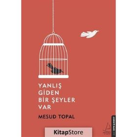 Yanlış Giden Bir Şeyler Var - Mesud Topal