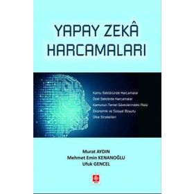 Yapay Zeka Harcamaları Ekin Basım Yayın