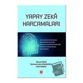 Yapay Zeka Harcamaları Ekin Basım Yayın