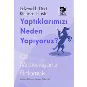 Yaptıklarımızı Neden Yapıyoruz? - İmge Kitabevi Yayınları