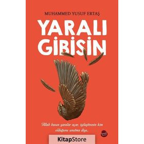 Yaralı Gibisin - Muhammed Yusuf Ertaş